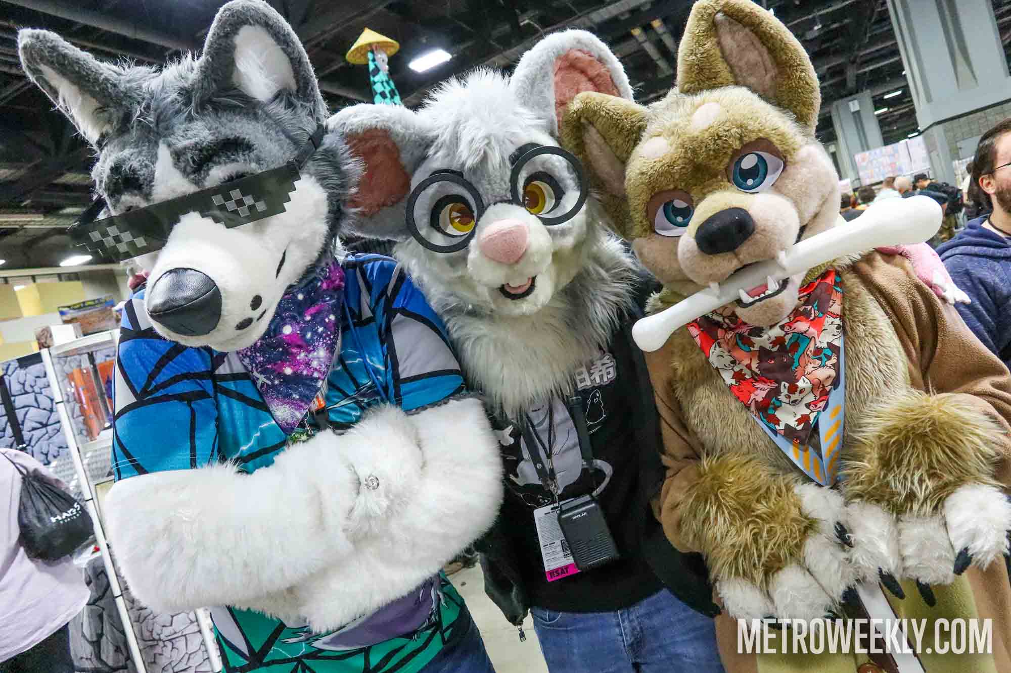 #17 of 212 : 2025-04-18_2989_176581.jpg