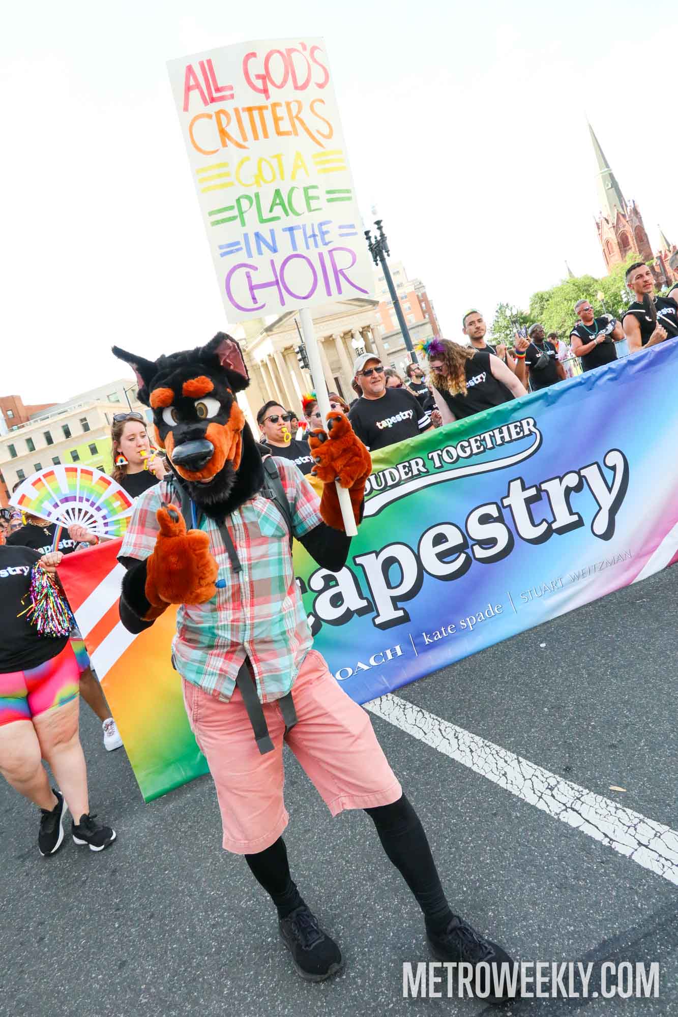 #86 of 216 : 2025-06-13_3002_177409.jpg