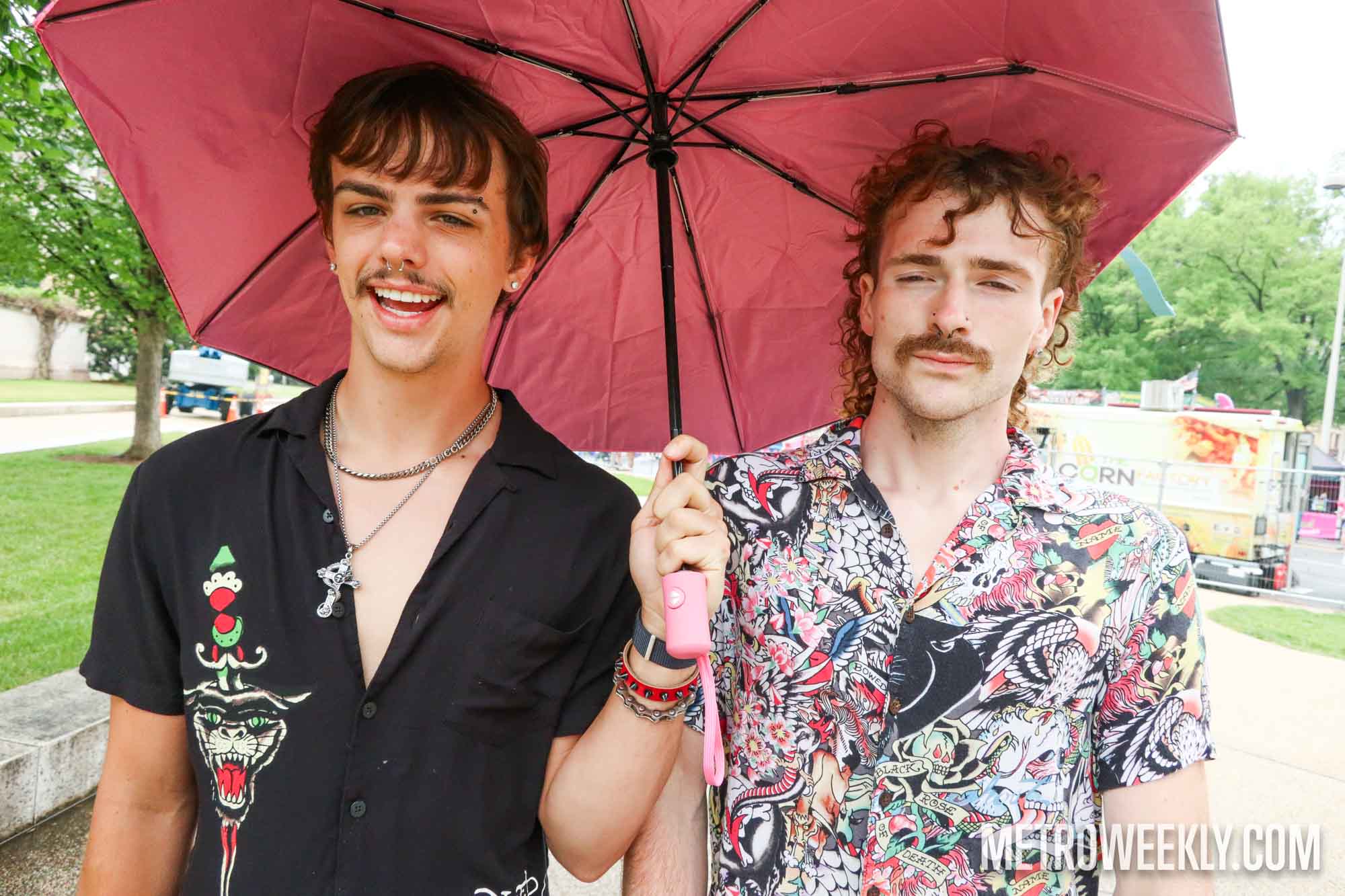 #137 of 229 : 2025-06-14_3006_177823.jpg