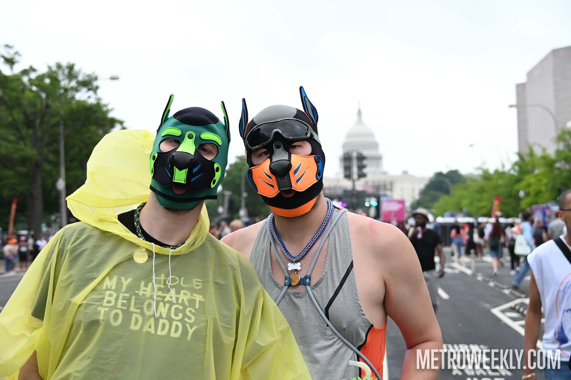 #121 of 143 : 2025-06-14_3008_178155.jpg