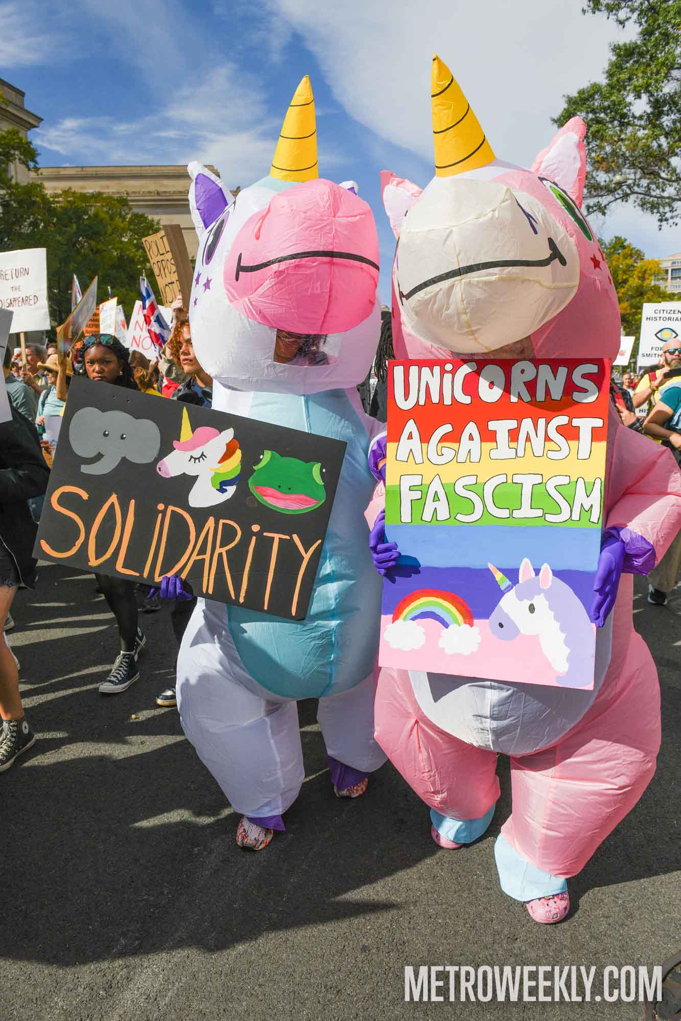 #6 of 147 : 2025-10-23_3013_178359.jpg