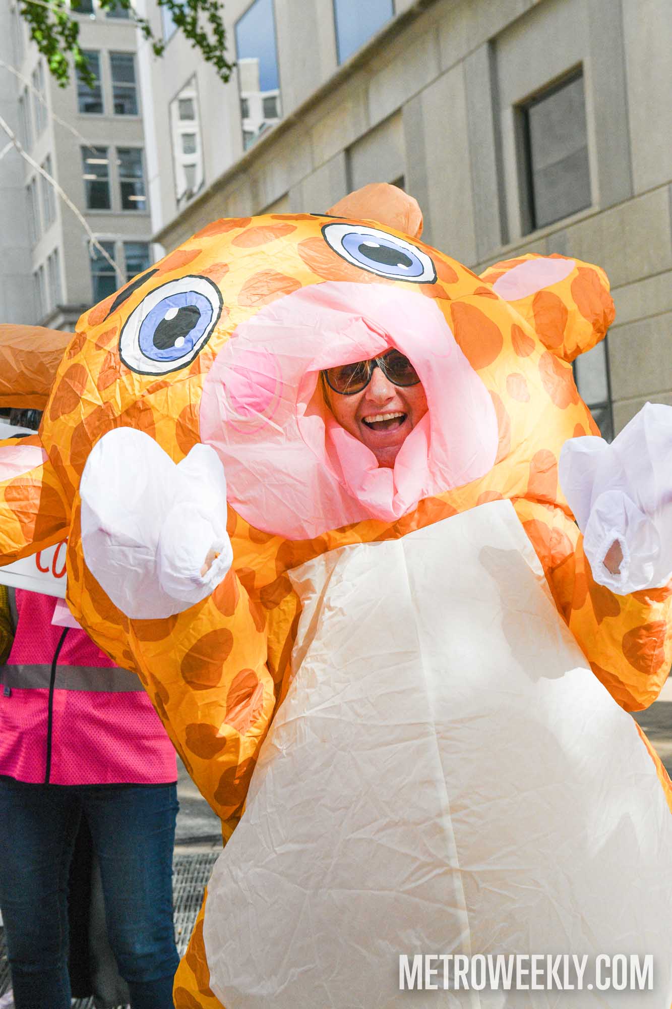 #32 of 147 : 2025-10-23_3013_178385.jpg