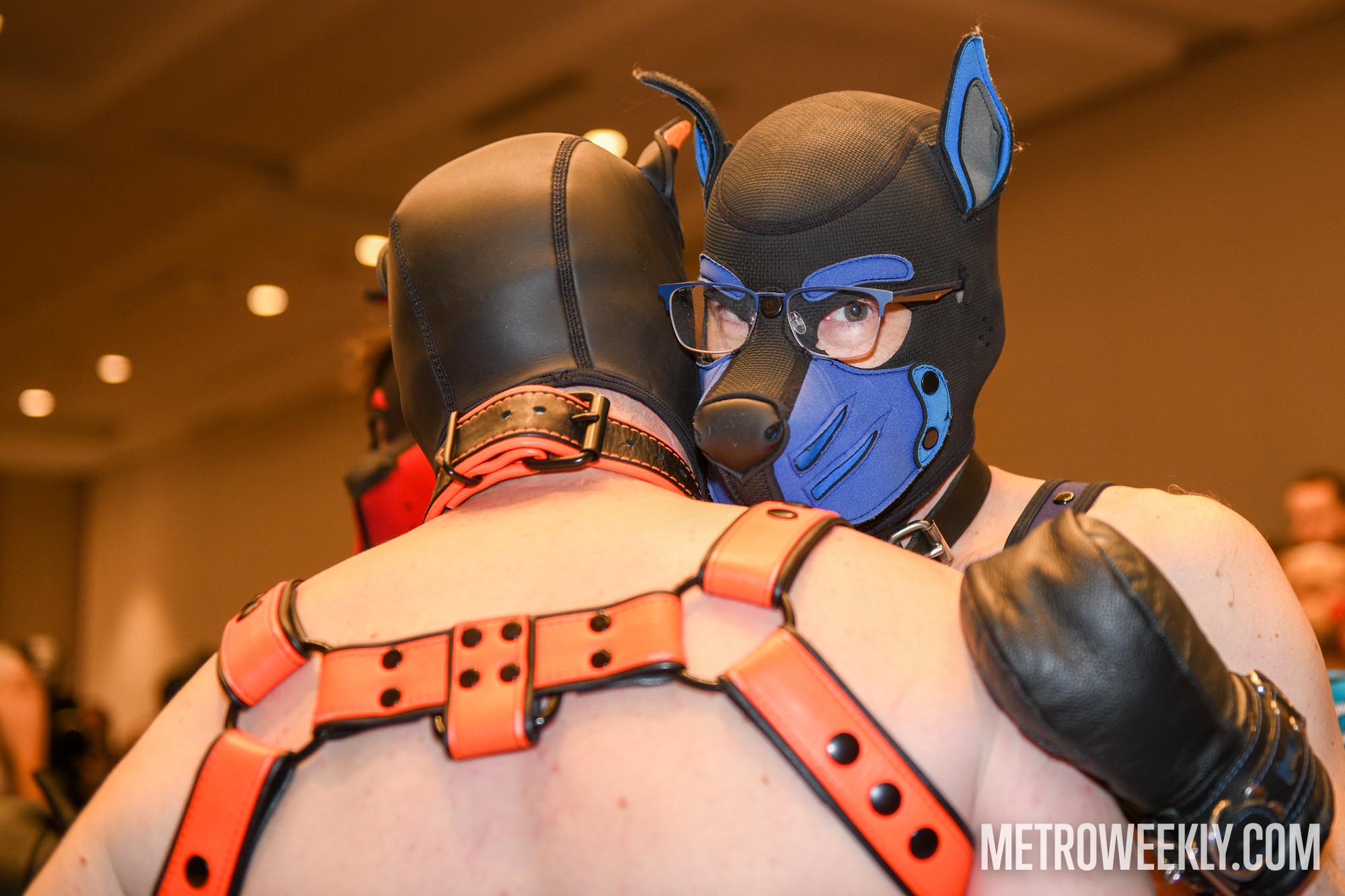 #24 of 168 : 2026-01-23_3027_179240.jpg