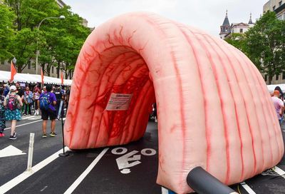 WorldPride Festival + Concert by Randy Shulman #16